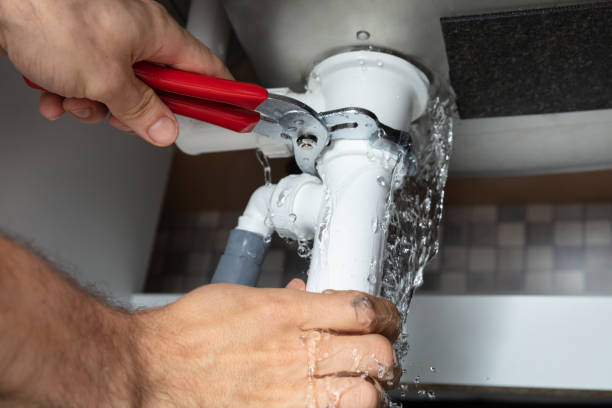 Best Water damage cleanup near me  in Plumas Lake, CA