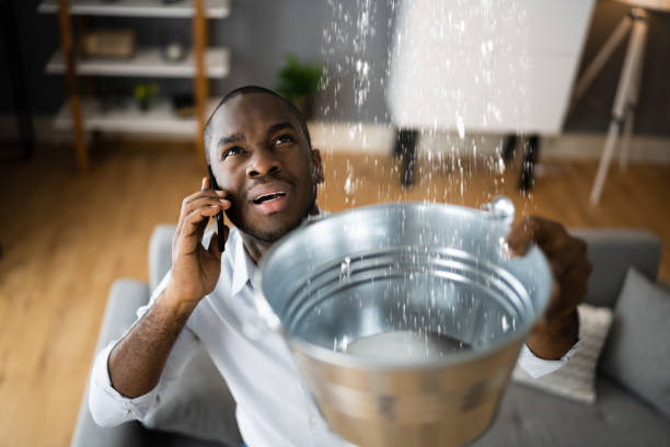 Best Flood restoration services  in Plumas Lake, CA