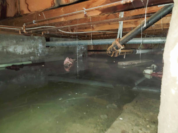 Best Carpet water damage restoration  in Plumas Lake, CA