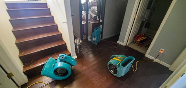 Best Ceiling water damage repair  in Plumas Lake, CA