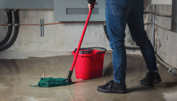 Best Professional water damage repair  in Plumas Lake, CA