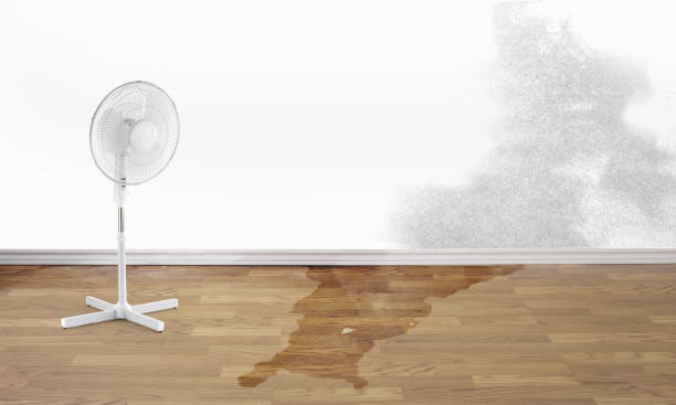 Best Water damage restoration near me  in Plumas Lake, CA