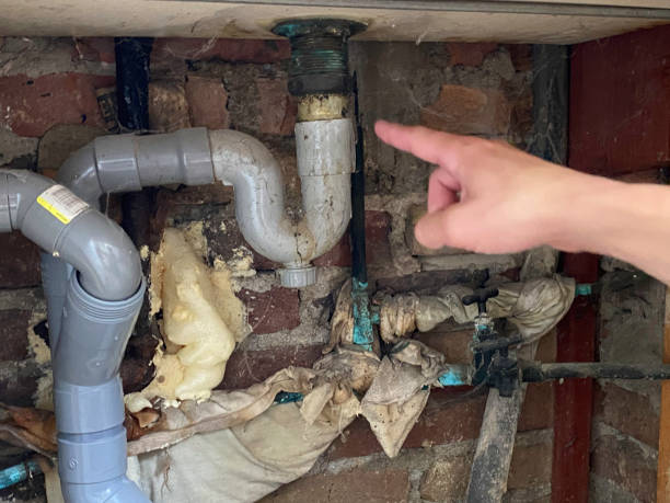 Best Local water damage restoration  in Plumas Lake, CA