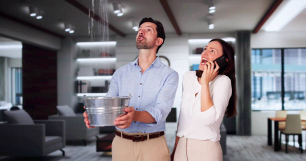 Best 24-hour water damage restoration  in Plumas Lake, CA