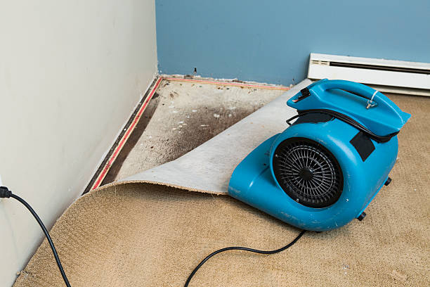 Best Residential water damage restoration  in Plumas Lake, CA